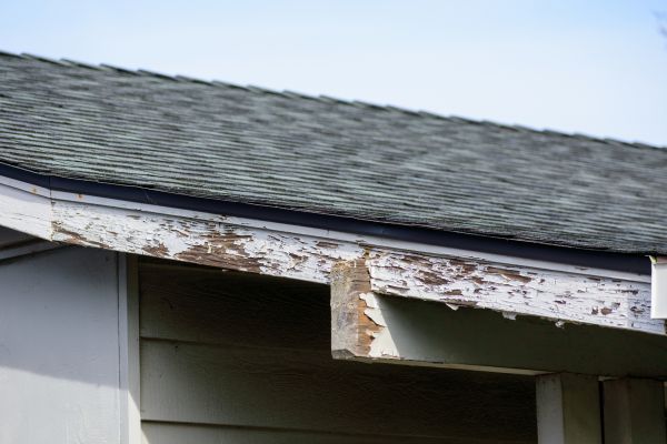 Eau Claire Wood Rot Repair